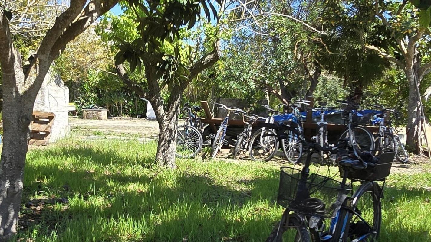 Alghero In Bicicletta Eksteriør bilde